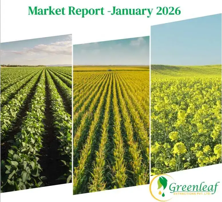 Market Report - January 2026
