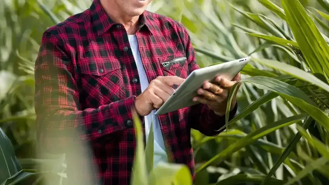 Market Report - February 2026