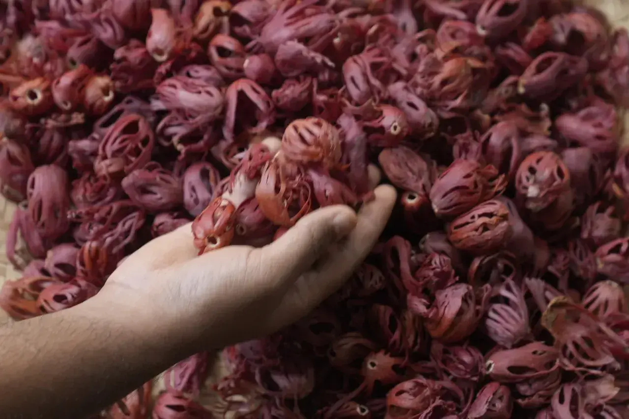 Market Report - February 2026