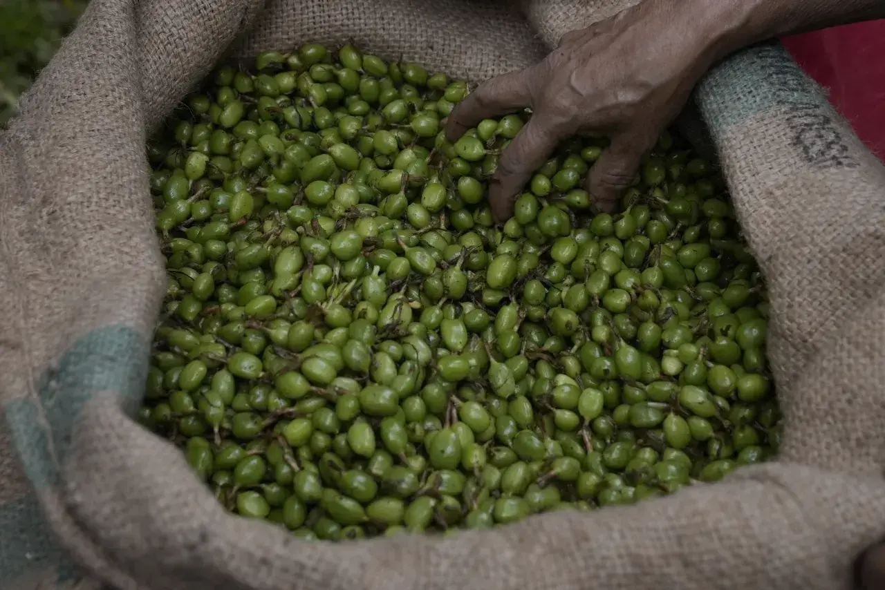 Market Report - February 2026