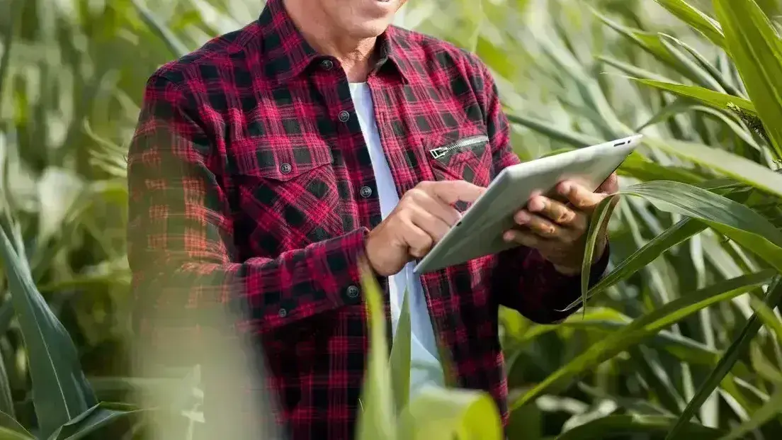 Market Report - March 2026