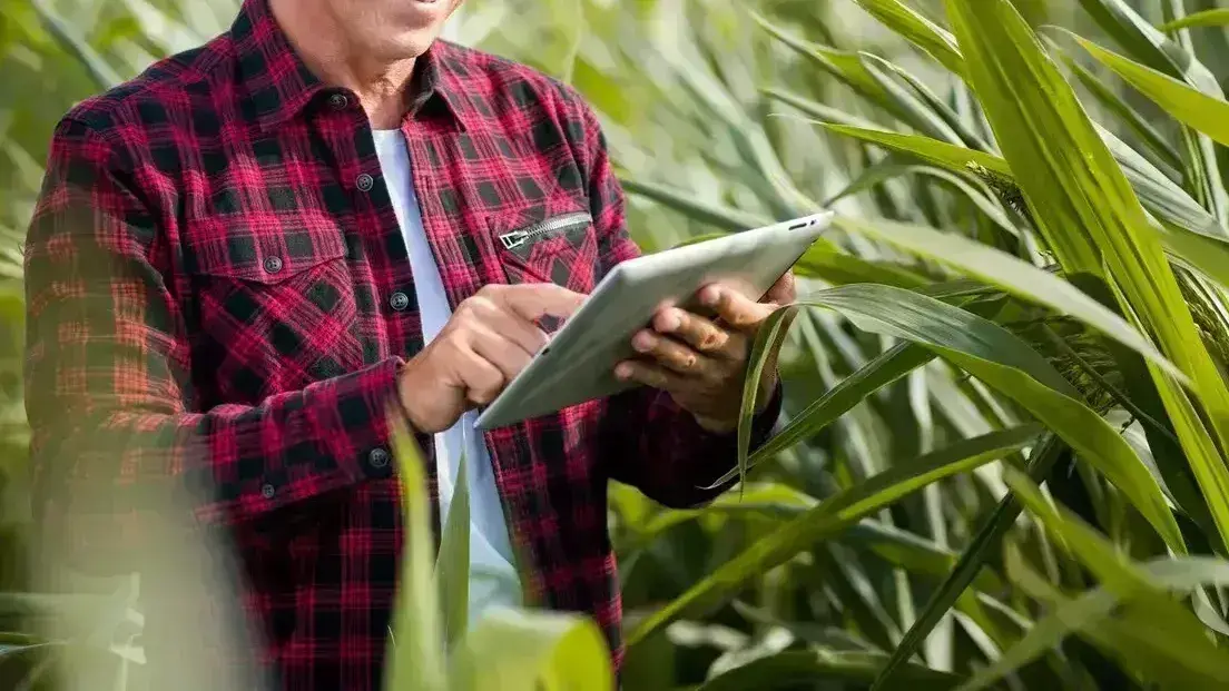 Market Report - April 2026