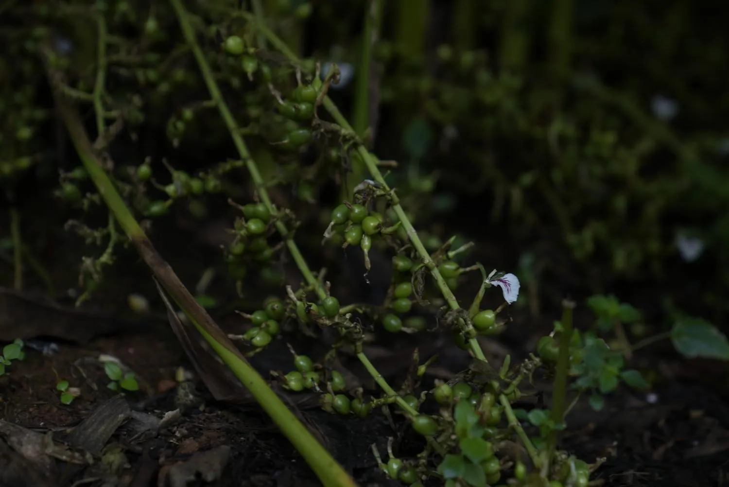 Market Report - April 2026