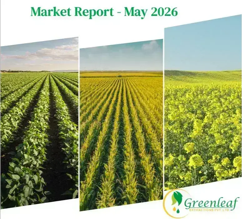 Market Report - May 2026