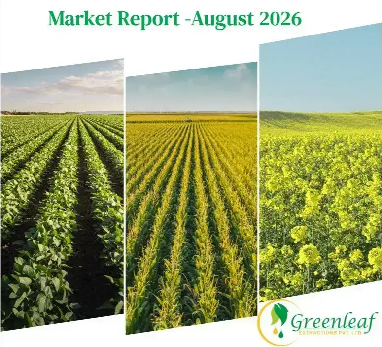 Market Report - August 2026