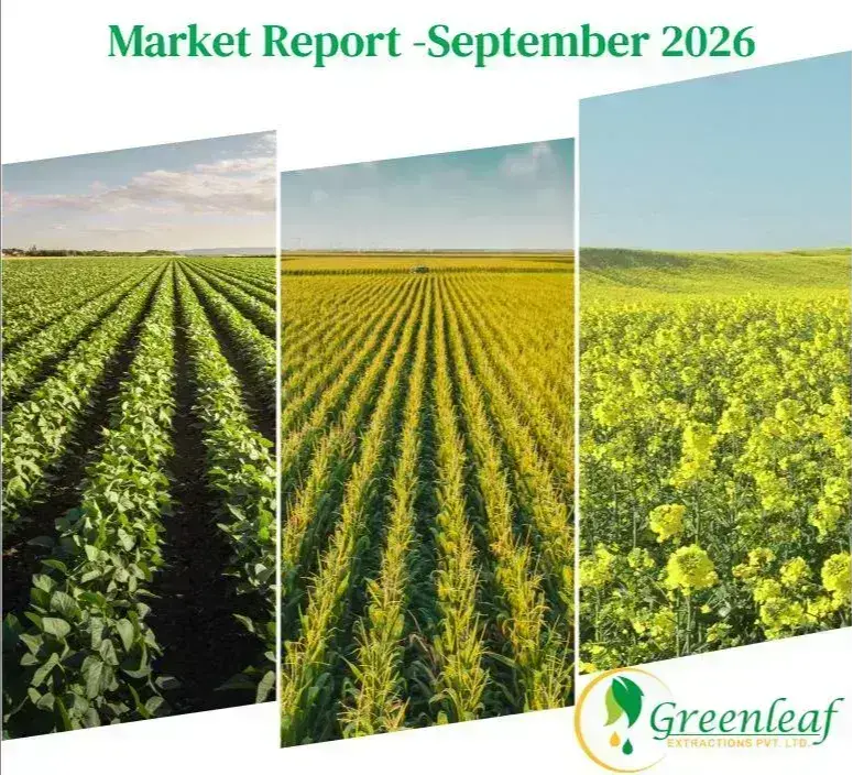 Market Report - September 2026